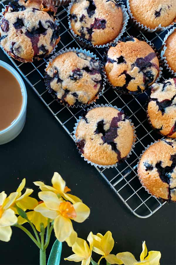 Blaubeer-Muffins ohne Zucker